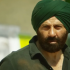 sunny deol