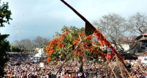 jhanda mela