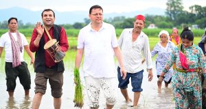 CM Pushkar Singh Dhami sow paddy plants amid the sound of Hudkiya bol