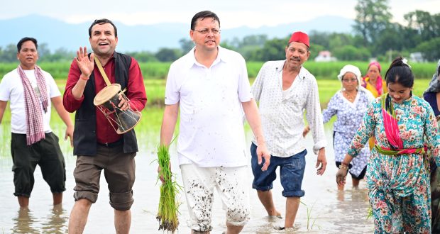 CM Pushkar Singh Dhami sow paddy plants amid the sound of Hudkiya bol