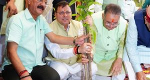 CM Pushkar Singh Dhami planting a sapling on Harela
